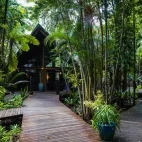 Walkways around the lodge, Ferntree Rainforest Lodge, Queensland