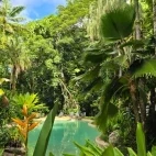 The pool at Ferntree Rainforest Lodge, Queensland