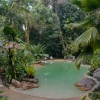 The pool at Ferntree Rainforest Lodge, Queensland