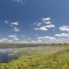 View of Mareeba Wetlands, Australia