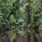 Mobo Creek Crater, in the Atherton Tablelands, Australia