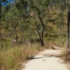 A bushwalk in Mareeba, Queensland