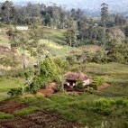 Mount Hagen in Papua New Guinea.