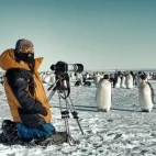 Photographer observing an emperor penguin colony.