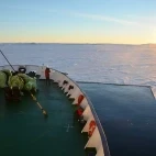 Ortelius in Snow Hill, Antarctica.