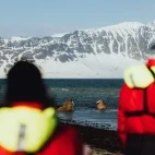 A group observing walrus in Svalbard.
