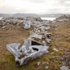 Remnants of a whale skeleton at Port Leopold, Canada.