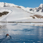 Zodiac in Antarctic Peninsula