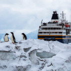 Heritage Adventurer & Adelie penguins in Antarctica.