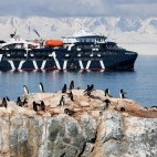 Chinstrap penguins and Magellan Explorer.