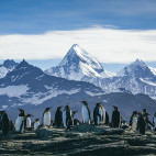 Penguins with mountains behind  in Antarctica.