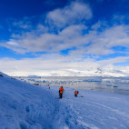 Tourists walking in the Polar Circle, Antarctica