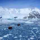 Zodiacs in the Polar Circle, Antarctica
