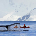 Humpback whale and kayakers in Weddell Sea, Antarctica