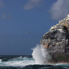 Seabird cliff in the Atlantic Ocean.