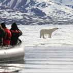 Zodiac and polar bear in Svalbard.