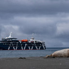 Elephant seal & Magellan Explorer in South Georgia.