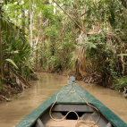 Canoeing down the Madre de dios river, Peru.