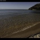 Snapshot of video