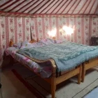 The bed setup in a ger at Twin Leopards Ger Camp, Altai Mountains, Mongolia