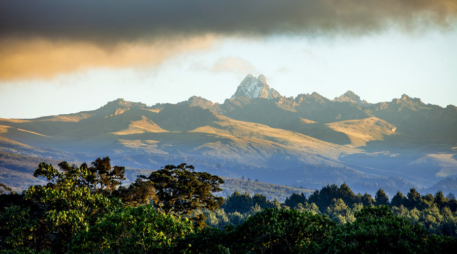Mount Kenya National Park wildlife location in Kenya, Africa | Wildlife ...