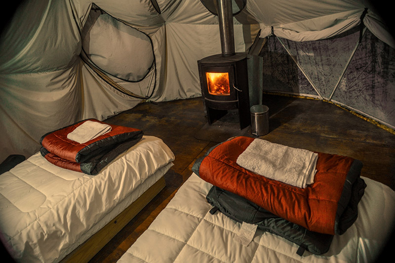 Whale Sound Eco Camp holiday accommodation in Chile, Latin America |  Wildlife Worldwide