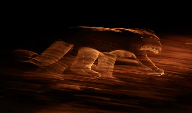 Leopard at 1/12th of a second.