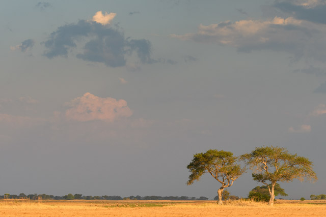 Busanga Plains in Kafue National Park, Zambia