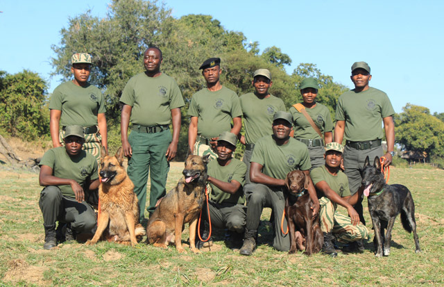 Conservation South Luangwa K9 team in Zambia