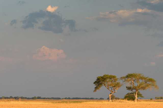 Kafue National Park in Zambia.