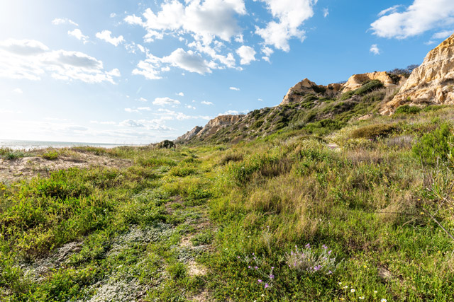 Donana National Park in Spain