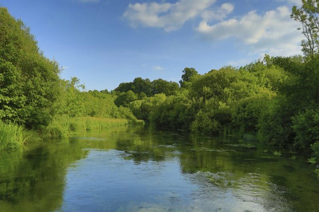 River Itchen in Hampshire