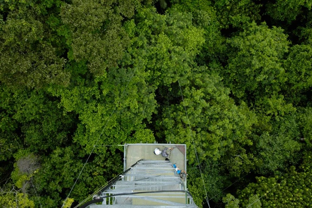 Canopy Tower in Cristalino Lodge,  in the Amazon Rainforest, Brazil.