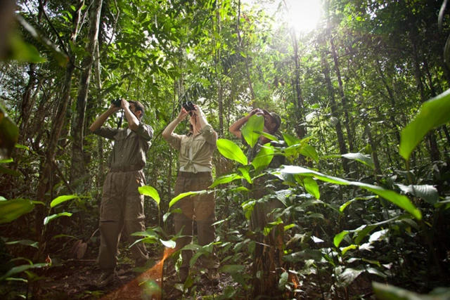 Tourists on a walking trail in Cristalino Lodge, Brazil, the Amazon Rainforest.