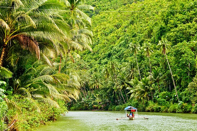 Cruising boat in the Amazon Rainforest, Ecuador