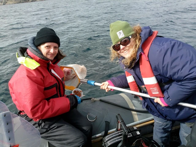Cetacean survey from a boat on the Falkland Islands, part of the conservation work undertaken by Faklands Conservation