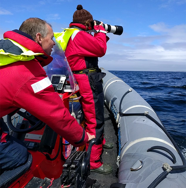 Cetacean survey on the Falkland Islands, part of the conservation work undertaken by Faklands Conservation.