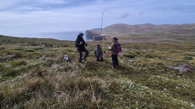 Prion survey on the Falkland Islands, part of the conservation work undertaken by Faklands Conservation