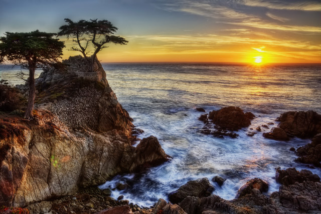 Lone Cypress in Monterey Bay, USA
