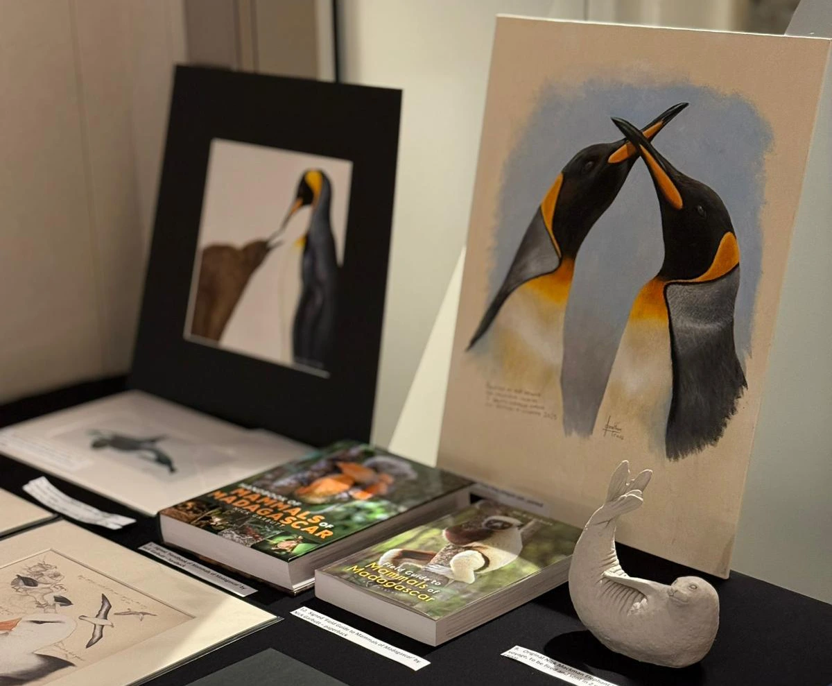 A selection of auction prizes on Wildlife Worldwide's Festival of Wildlife