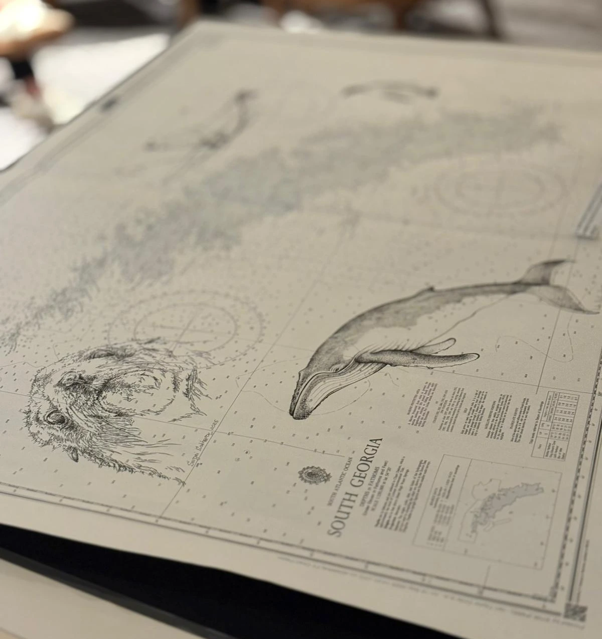 A close-up of the ship chart auction prize on Wildlife Worldwide's Festival of Wildlife