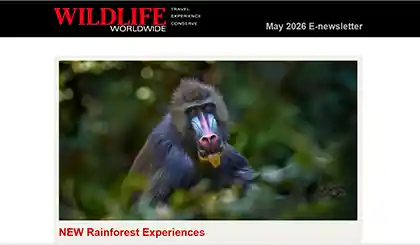 Screenshot of the header area of a recent Wildlife Worldwide e-newsletter.