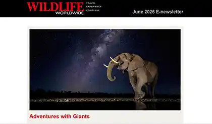 Screenshot of the header area of a recent Wildlife Worldwide e-newsletter.