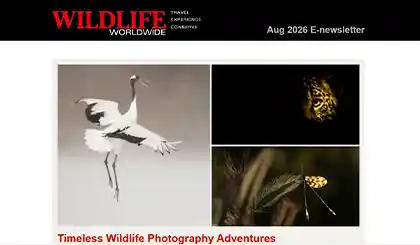 Screenshot of the header area of a recent Wildlife Worldwide e-newsletter.