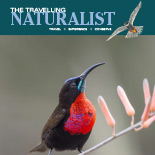 Extract of 2017/18 cover.