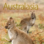 Extract of page 66 start of Australasia section.