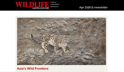 Screenshot of the header area of a recent Wildlife Worldwide e-newsletter.
