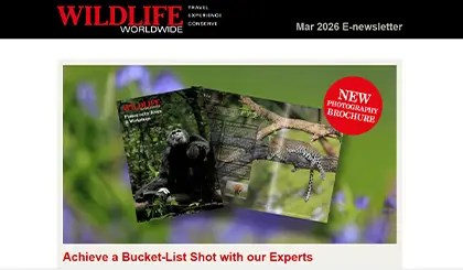 Screenshot of the header area of a recent Wildlife Worldwide e-newsletter.
