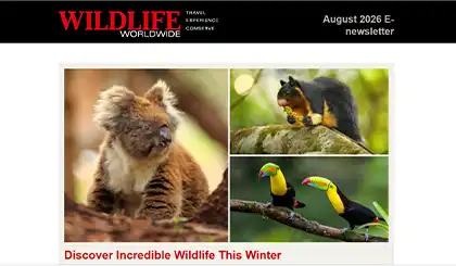Screenshot of the header area of a recent Wildlife Worldwide e-newsletter.