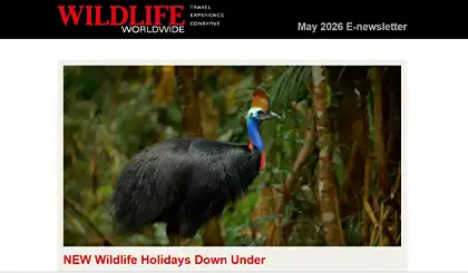 Screenshot of the header area of a recent Wildlife Worldwide e-newsletter.